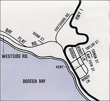 Bodega Bay